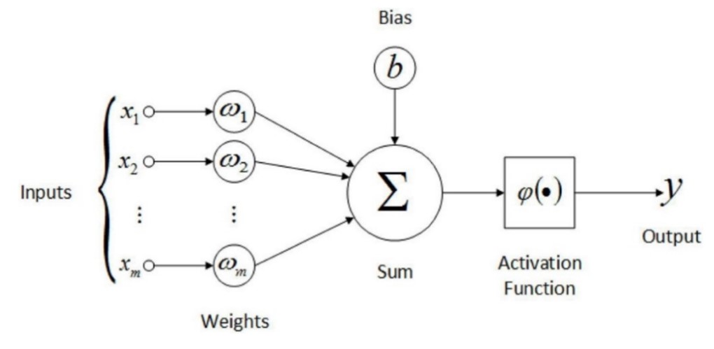 Representation of a single neuron in a Neural Network