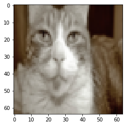 A single test image displayed for a prediction check.